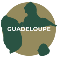Illustration des rhums de Guadeloupe